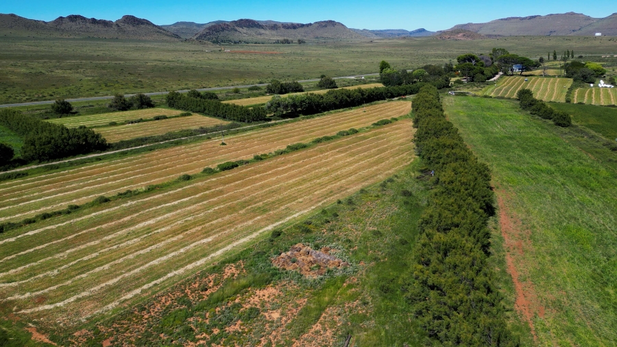 5 Bedroom Property for Sale in Steynsburg Rural Eastern Cape